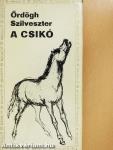 A csikó