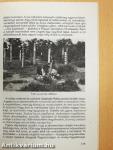 Az 1956-os Magyar Forradalom