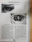 MediArt 2010/1-4.