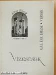 Vízesések (dedikált példány)