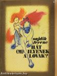 Hát (m)ilyenek a lovak?