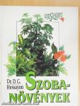 Szobanövények