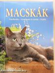 Macskák