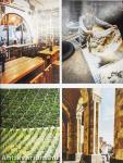 Food & Wine May 2023