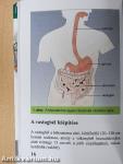 Hasfájás, puffadás - irritábilis bél szindróma?