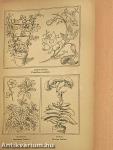 Das neue Gartenbuch (gótbetűs)