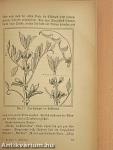 Das neue Gartenbuch (gótbetűs)