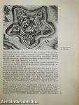 Hogyan éltek elődeink?