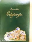Salgótarján