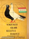 Nemzetközi Galambkiállítás