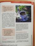 Homeopátia