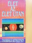 Élet az élet után