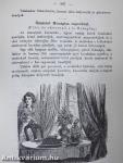 Magyar-Franczia szakácskönyv