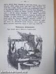 Magyar-Franczia szakácskönyv