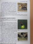 Biológia érettségizőknek 1.