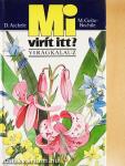 Mi virít itt?