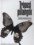 Trópusi pillangók