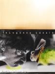 Nincs modor - DVD-vel