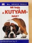 Mi baja a kutyámnak?
