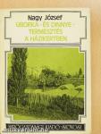 Uborka- és dinnyetermesztés a házikertben