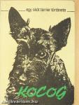 Kocog