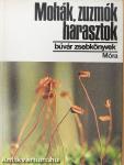 Mohák, zuzmók, harasztok