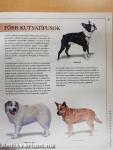 Kutyatartók kézikönyve