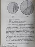 Társadalmunk rétegeződése