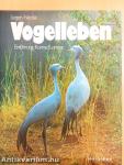 Vogelleben