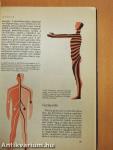Orvos a családban