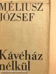Kávéház nélkül