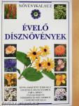 Évelő dísznövények