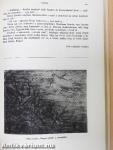 Nagyvilág 1957. június