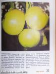 88 színes oldal a gyümölcsfajtákról