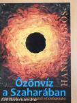 Özönvíz a Szaharában