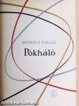 Pókháló