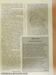 Hét Hárs 2009. reformáció