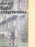Kántor a nagyvárosban
