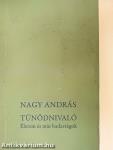 Tűnődnivaló