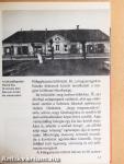 Így élt a szabadságharc költője