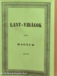 Lant-virágok 