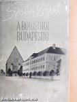 A bölcsőtől Budapestig