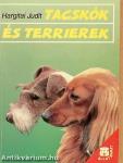 Tacskók és terrierek