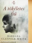 A tökéletes fiú
