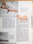 Ein was ist was Buch über Fliegerei