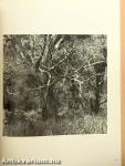 Camera Januar-Dezember 1976