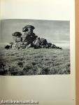 Camera Januar-Dezember 1974