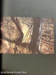 Camera Januar-Dezember 1974