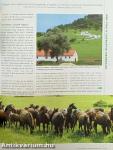 Világjáró 2009. augusztus
