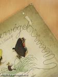 Sommervögel (gótbetűs)